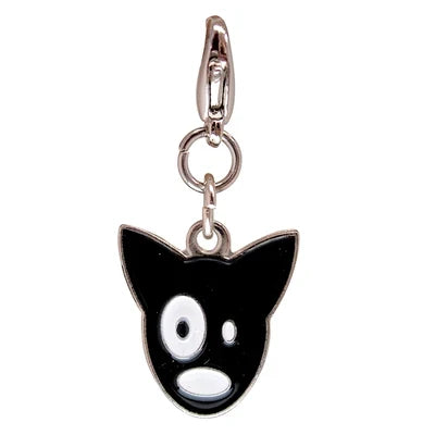 Accessories & Charms