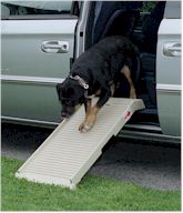 Ramps, Steps & Travel