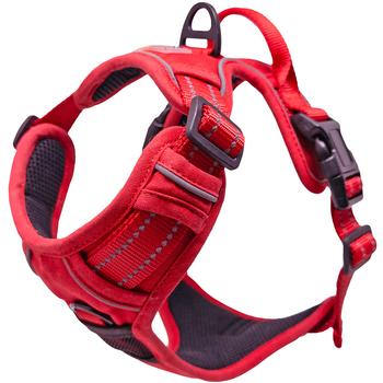 Harness