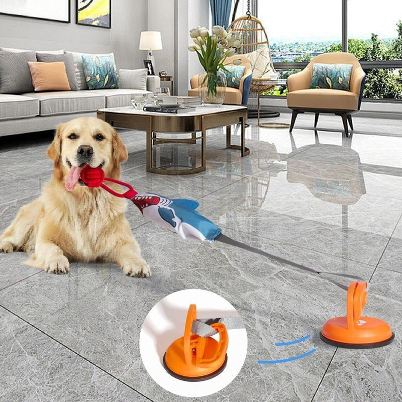 PROKEl Shark Shaped Pet Toy With Suction Cup