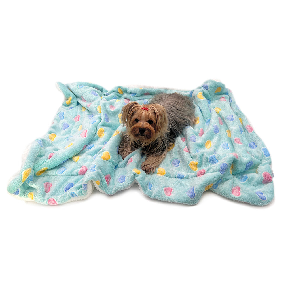 Ultra Plush Colorful Hearts Blanket - Blue