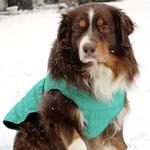 Alpine Extreme Weather Puffer Coat - Arcadia