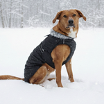 Alpine Extreme Weather Puffer Coat - Black