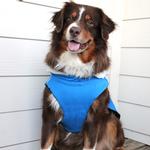 Alpine Tuf Terrain Dog Coat - Mountain Lake