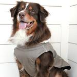 Alpine Tuf Terrain Dog Coat - Dried Sage