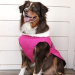 Alpine Tuf Terrain Dog Coat - Wild Raspberry