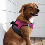 Choke Free Dog Harness Ombre Collection - Sunset Pink