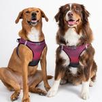 Choke Free Dog Harness Ombre Collection - Sunset Pink