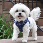 Choke Free Dog Harness Polka Dot Collection - Navy Polka Dot