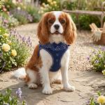 Choke Free Dog Harness Polka Dot Collection - Navy Polka Dot
