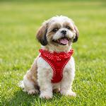 Choke Free Dog Harness Polka Dot Collection - Red Polka Dot