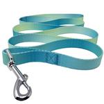 Ombre Leash - Aruba Blue