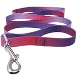 Ombre Leash - Raspberry Sundae