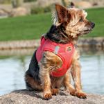Solid Ultra Choke Free Dog Harness - Coral
