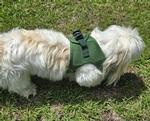 Solid Ultra Choke Free Dog Harness - Dark Forest Green