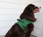 Solid Ultra Choke Free Dog Harness - Dark Forest Green