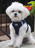Solid Ultra Choke Free Dog Harness - Navy