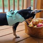 Solid Ultra Choke Free Dog Harness - Teal