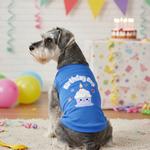 Birthday Boy Dog Shirt - Blue