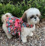 Blooming Blue and Peach Floral Dog Dress