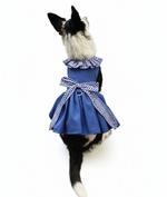Blue Gingham Dog Dress with Matching Leash
