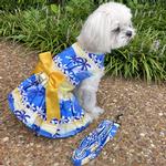 Catching Waves Dog Dress with Matching Leash