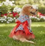 Cherry Stripe Harness Dress with Matching Leash