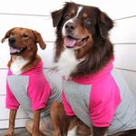 Color-Block Hoodie - Pink on Gray
