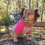 Color-Block Hoodie - Pink on Pink