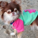 Color-Block Hoodie - Pink on Mint