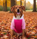 Color-Block Hoodie - Pink on Pink