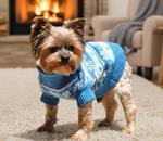 Combed Cotton Snowflake and Hearts Dog Sweater - Blue