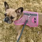 Cool Mesh Dog Harness Under the Sea Collection - Sunglasses Pink and Black Polka Dot