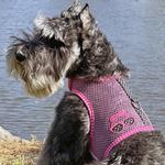 Cool Mesh Dog Harness Under the Sea Collection - Sunglasses Pink and Black Polka Dot