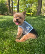 Cool Mesh Dog Harness with Leash - Blue Daisy