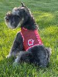 Cool Mesh Dog Harness with Leash - Hawaiian Hibiscus Red