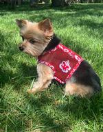 Cool Mesh Dog Harness with Leash - Hawaiian Hibiscus Red