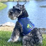 Cool Mesh Dog Harness with Leash - Ocean Blue and Palms