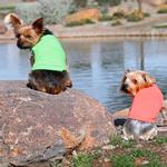Cotton Dog Tank - Coral