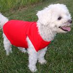 Cotton Dog Tank - Flame Scarlet Red