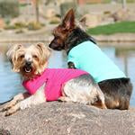 Cotton Dog Tank - Teal