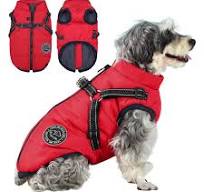Chest Strap Jacket Cotton-padded Coat