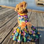 Fiesta Floral Dog Dress with Matching Leash