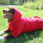 Flex-Fit Dog Hoodie - Red