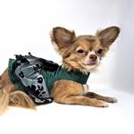 Green and Black Satin Dog Dress
