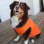 Happy Face Dog Shirt - Sunset Orange