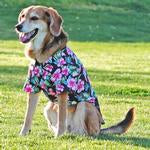 Hawaiian Camp Shirt - Paradise Nights