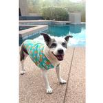 Hawaiian Camp Shirt - Pineapple Luau