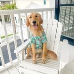 Hawaiian Camp Shirt - Surfboards and Palms