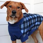 Highline Fleece Dog Coat - Blue Plaid